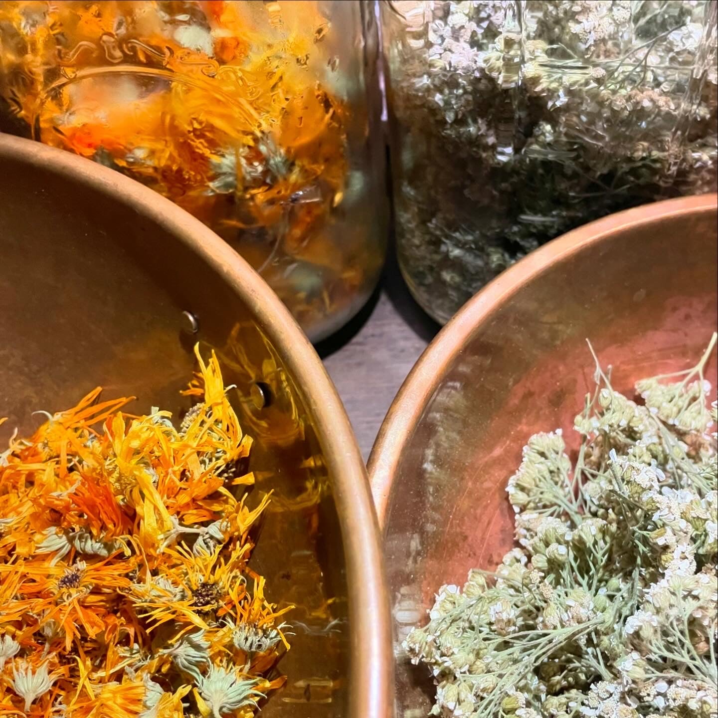 Calendula & Yarrow Face Oil