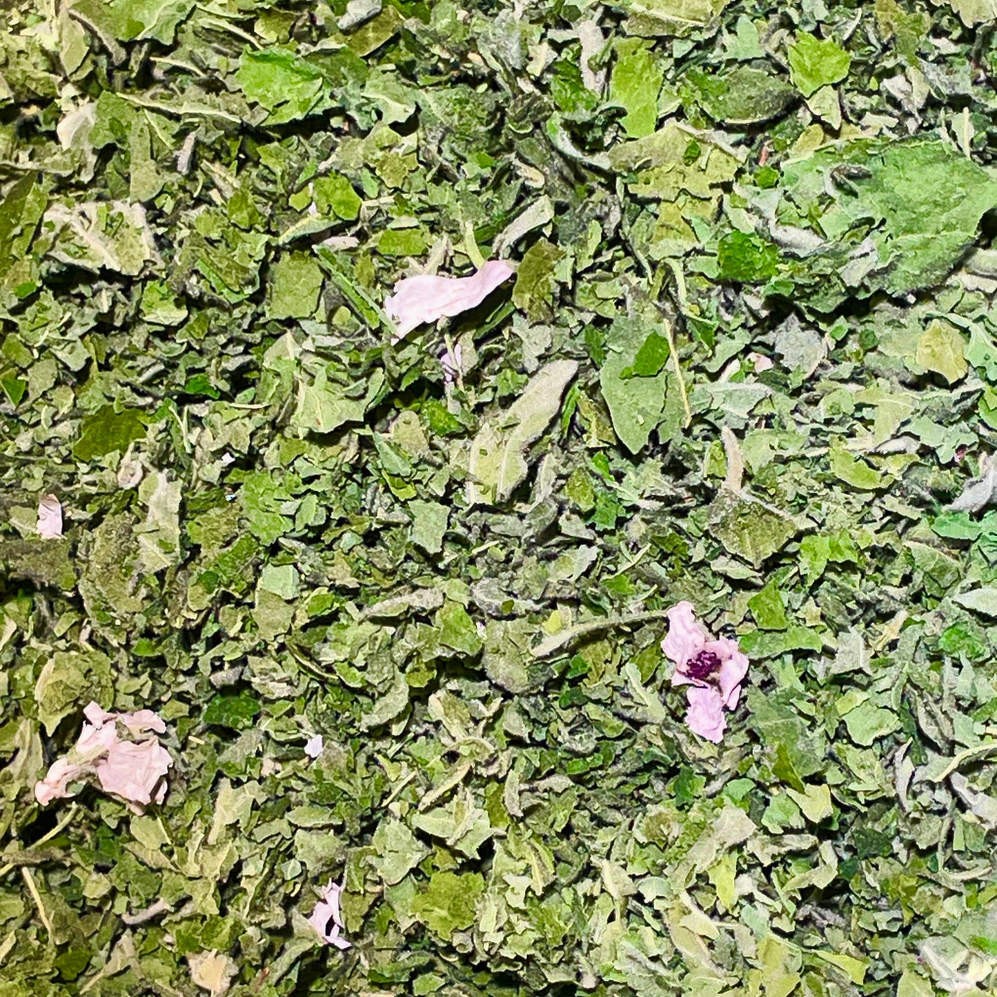 Marshmallow Dried Leaf & Flower