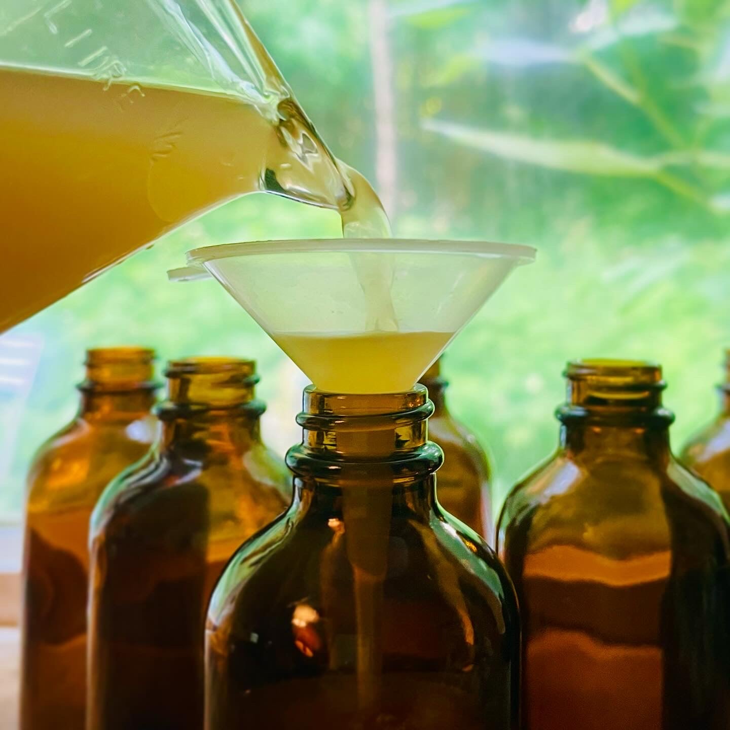 Horsetail Herbal Hair Rinse