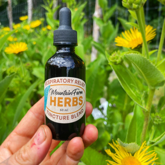 Elecampane & Respiratory Relief