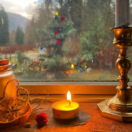 Winter Solstice & beginning the New Year