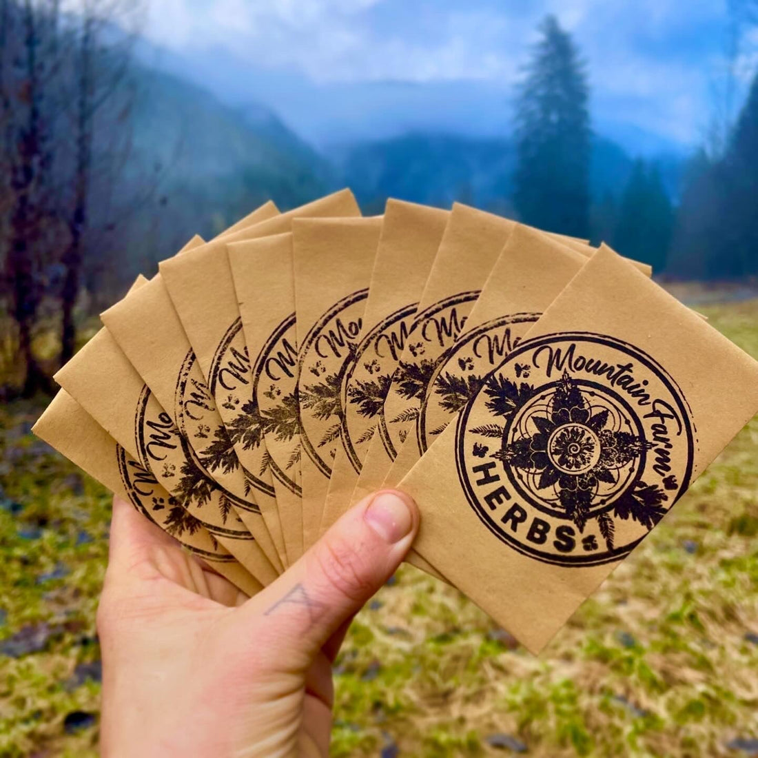 2026 Herb Seed Collection!