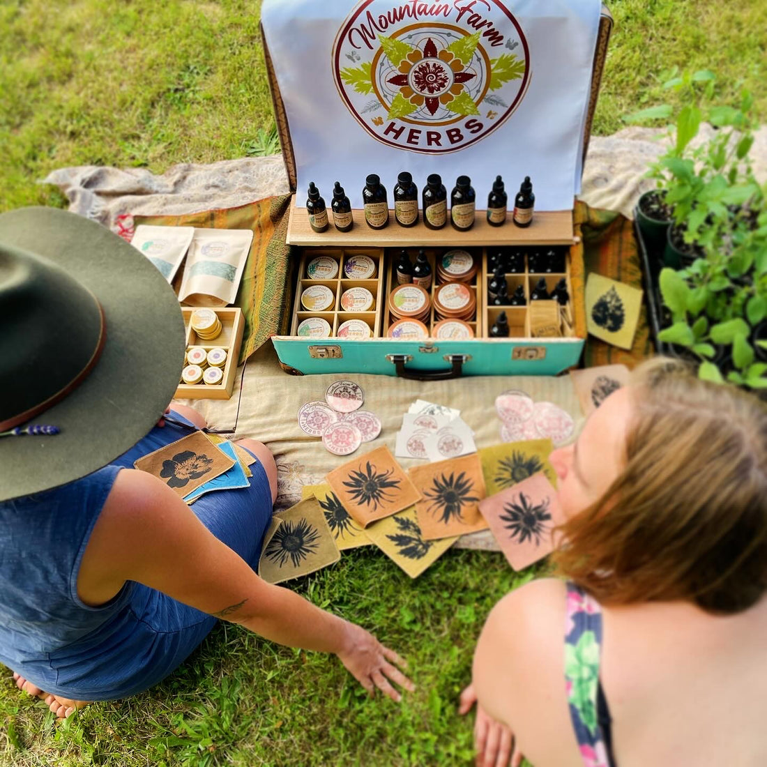 Vancouver Island Herb Gathering