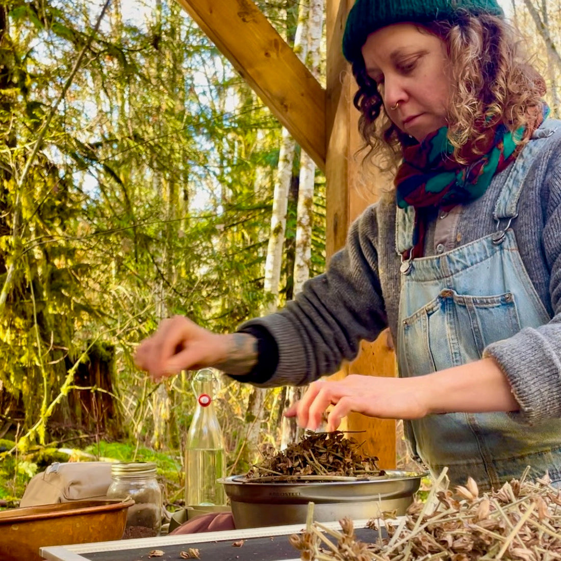 Herb Seed Season begins!