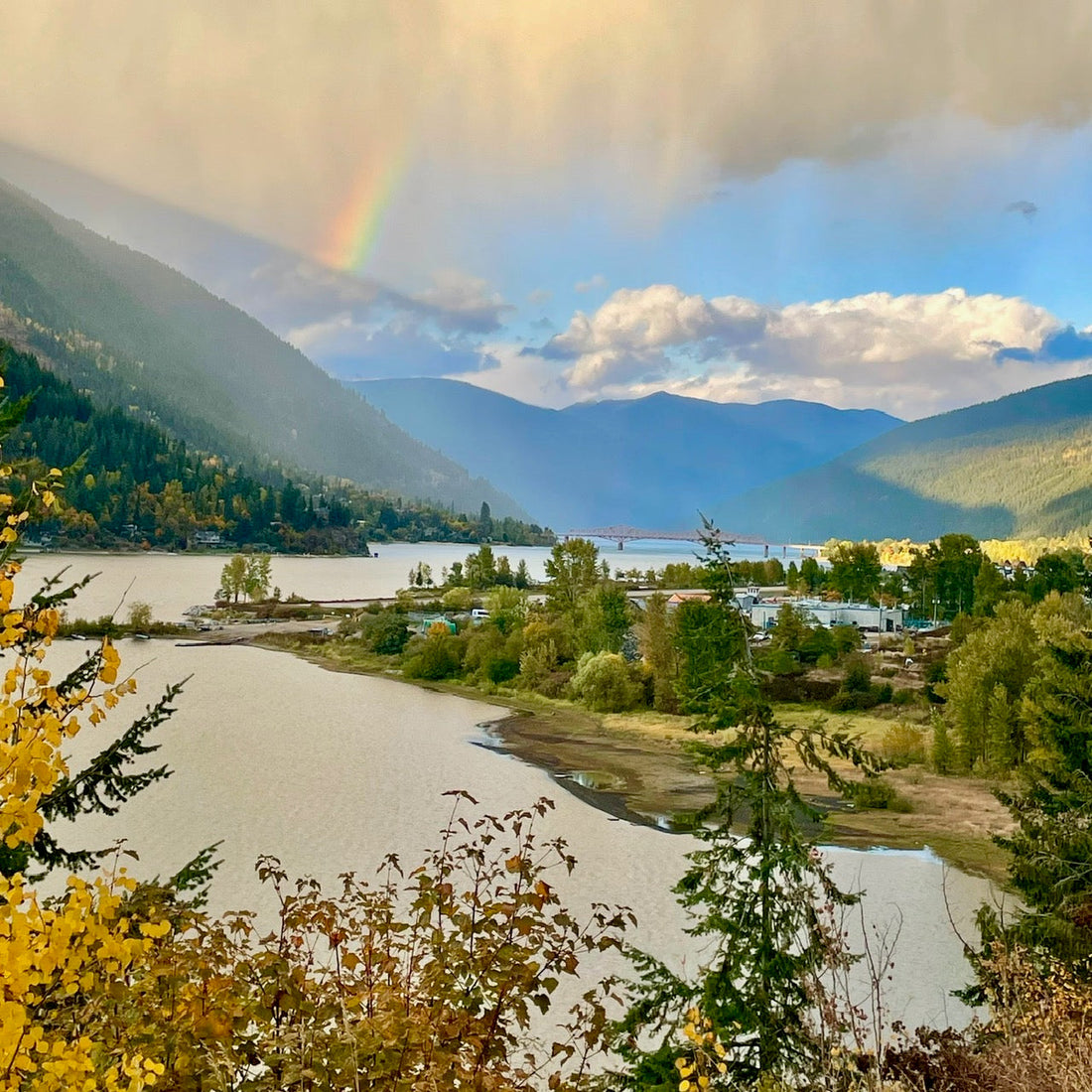 Holistic Herbalism Foundations