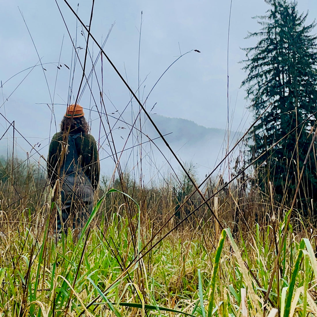 Welcoming the Winter Solstice