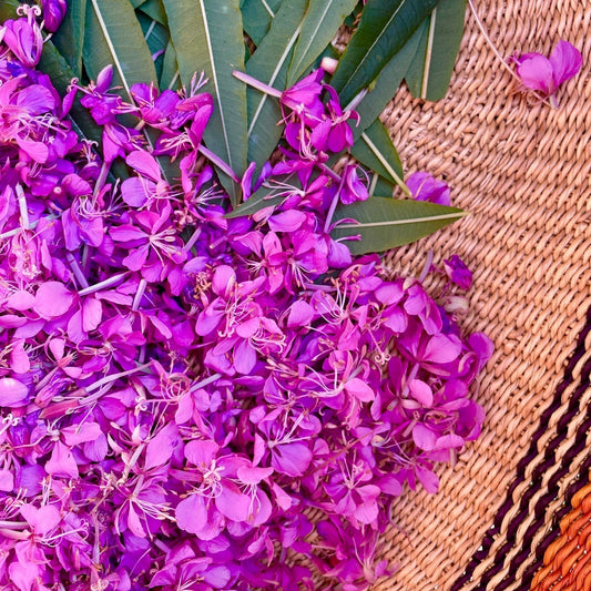 Fireweed Harvest + Rest & Digest Restock