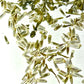 Yarrow Seeds