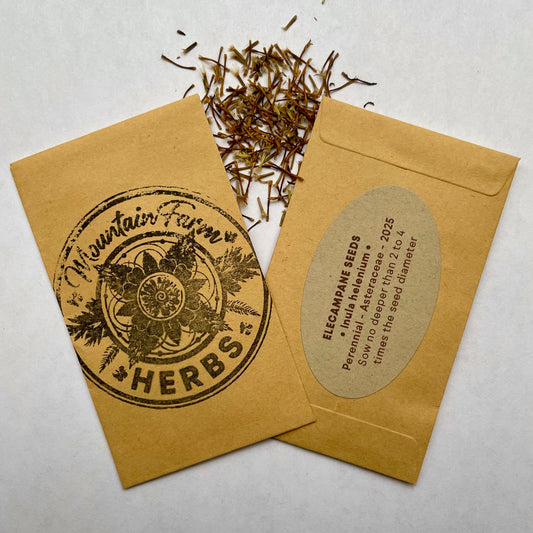 Elecampane Seeds