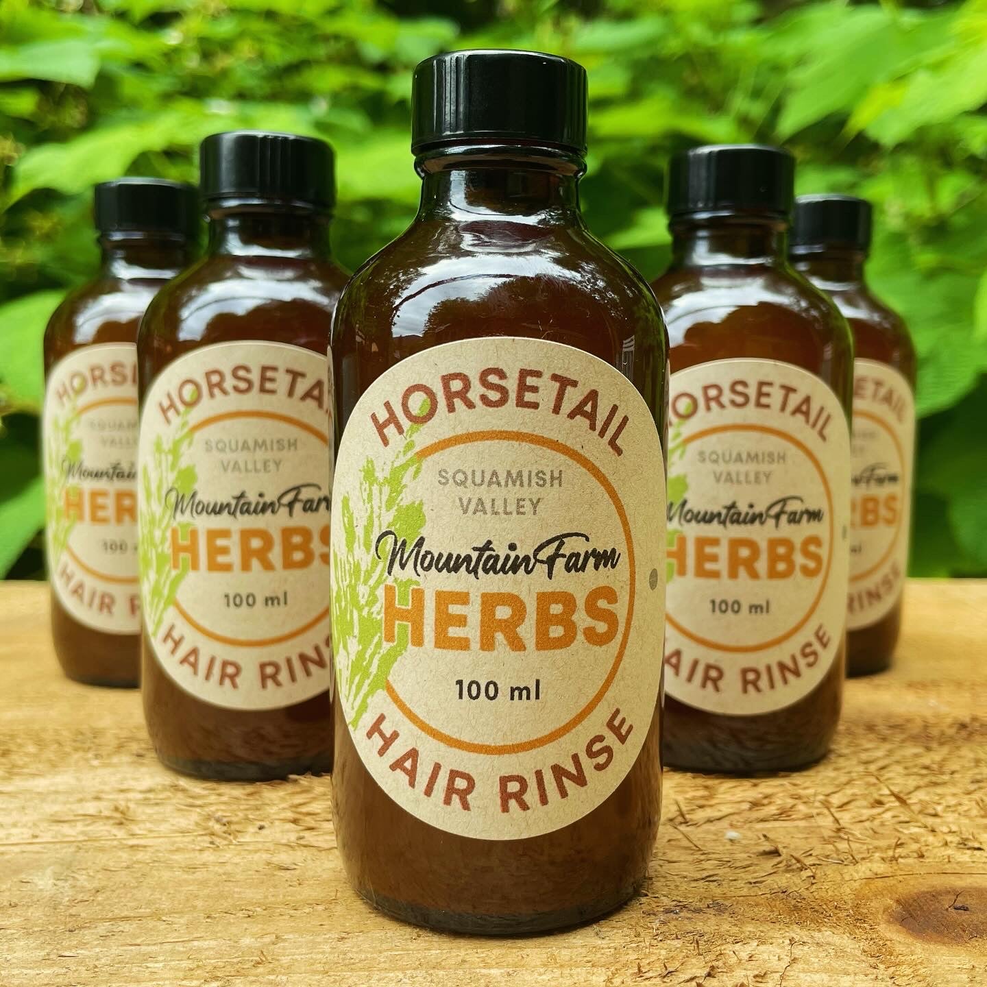 Horsetail Herbal Hair Rinse