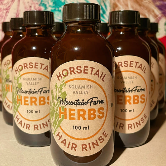 Horsetail Herbal Hair Rinse