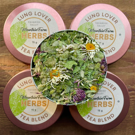 Lung Lover - Tea Blend