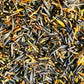 Arnica Seeds