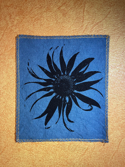 Echinacea Plant Patch