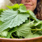 Nettle - Dried Leaf